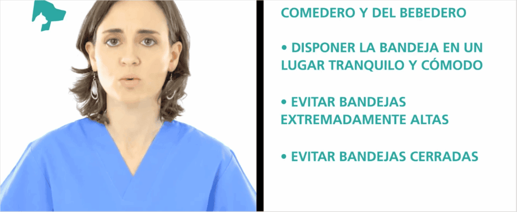 producción audiovisual para marcas en Asturias